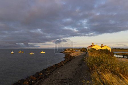 Photo for Coast of Noirmoutier island, France - Royalty Free Image