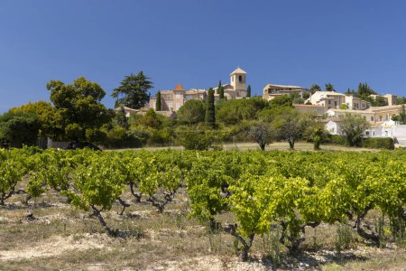 Photo for Typical vineyard near Vinsobres, Cotes du Rhone, France - Royalty Free Image