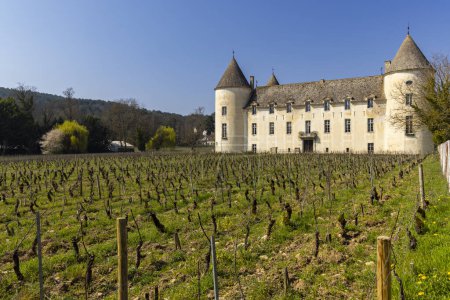 Téléchargez les photos : Château de Savigny-les-Beaune, Côte de Nuits, Bourgogne, France - en image libre de droit