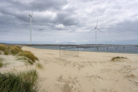 Foto de Wind turbines on edge of  national park Oosterschelde, Domburg - Vrouwenpolder, The Netherlands - Imagen libre de derechos