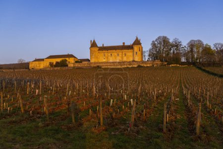 Foto de Castillo de Rully, departamento Saone-et-Loire, Borgoña, Francia - Imagen libre de derechos