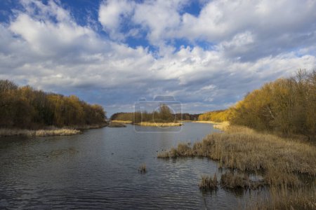 Téléchargez les photos : Réserve naturelle de Balaton-felvideki, Kis-Balaton, Transdanubie, Hongrie - en image libre de droit
