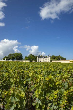 Téléchargez les photos : Château Pichon Longueville Baron, Médoc, France - en image libre de droit