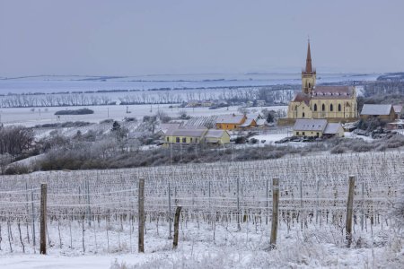 Téléchargez les photos : Eglise de Konice avec vignoble, région de Znojmo, Moravie du Sud, République tchèque - en image libre de droit