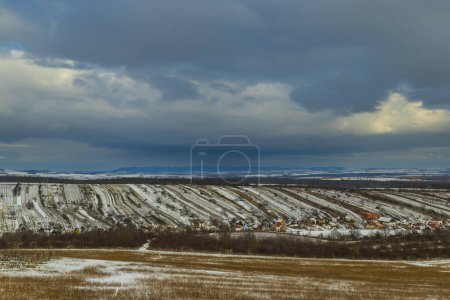 Téléchargez les photos : Vignoble d'hiver près de Mutenice, Moravie du Sud, République tchèque - en image libre de droit