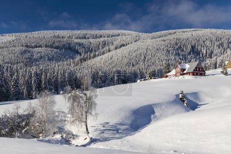 Photo for Winter landscape around Horni Mala Upa, Giant Mountains (Krkonose), Northern Bohemia, Czech Republic - Royalty Free Image