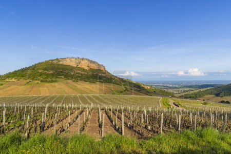 Téléchargez les photos : Rocher de Vergisson avec vignobles, Bourgogne, France - en image libre de droit