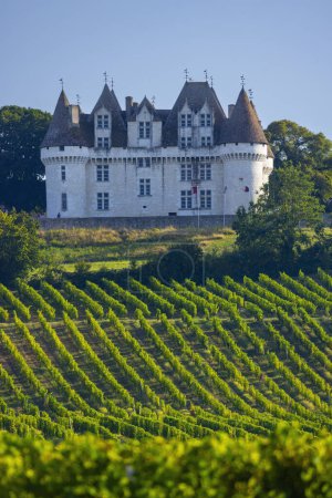 Chateau Monbazillac ( Monbazillac castle) with vineyards, Aquitaine, France