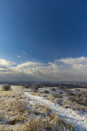 Téléchargez les photos : Paysage hivernal de Palava, Moravie du Sud, République tchèque - en image libre de droit