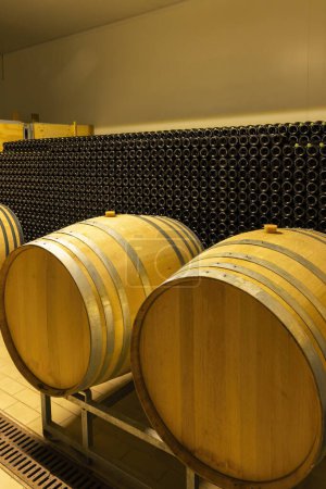 Téléchargez les photos : Wine cellar in Piedmont, Italy - en image libre de droit