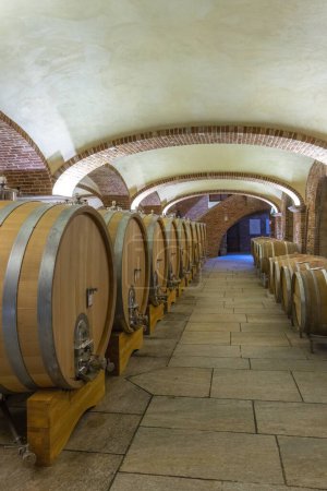 Foto de Wine cellar in Piedmont, Italy - Imagen libre de derechos