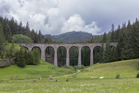 Foto de Puente ferroviario Chramossky viadukt cerca de Telgart, Horehronie, Eslovaquia - Imagen libre de derechos