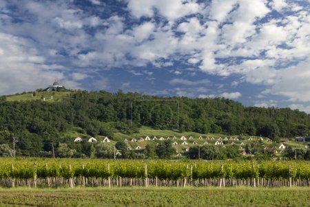 Téléchargez les photos : Caves à vin traditionnelles (Gombos-hegyi pincesor) à Hercegkut, site UNESCO, Grande plaine, Hongrie du Nord - en image libre de droit