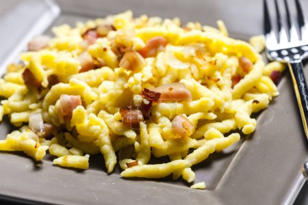 Photo for Spaetzles with fried bacon and onion - Royalty Free Image