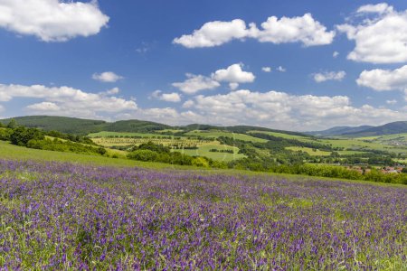 Foto de Paisaje primaveral en los Cárpatos Blancos, Moravia del Sur, República Checa - Imagen libre de derechos