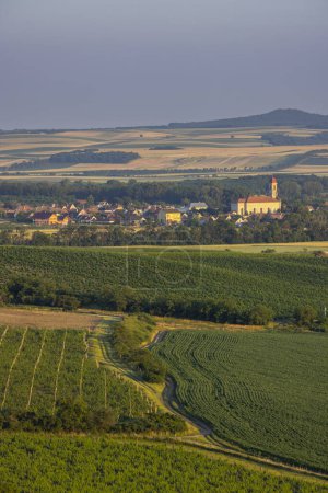 Téléchargez les photos : Vignobles sous Palava, Moravie du Sud, République tchèque - en image libre de droit