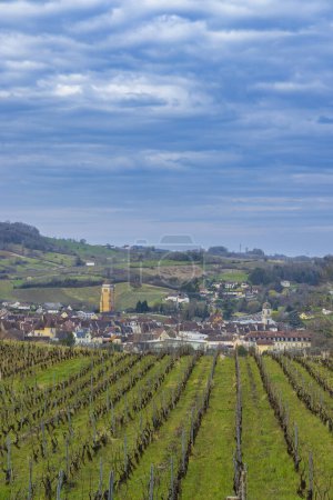 Téléchargez les photos : Vignobles avec ville d'Arbois, département du Jura, Franche-Comte, France - en image libre de droit
