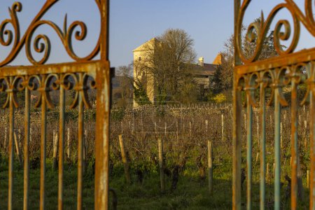 Téléchargez les photos : Château de Gevrey-Chambertin, Bourgogne, France - en image libre de droit