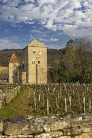 Téléchargez les photos : Château de Gevrey-Chambertin, Bourgogne, France - en image libre de droit