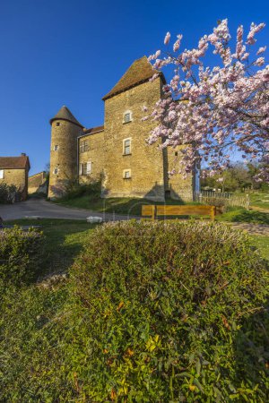 Foto de Chateau de Bissy-sur-Fley también Chateau de Pontus de Tyard, Bissy-sur-Fley, Borgoña, Francia - Imagen libre de derechos