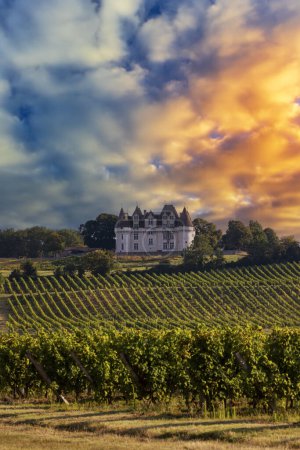 Chateau Monbazillac (Schloss Monbazillac) mit Weinbergen, Aquitanien, Frankreich