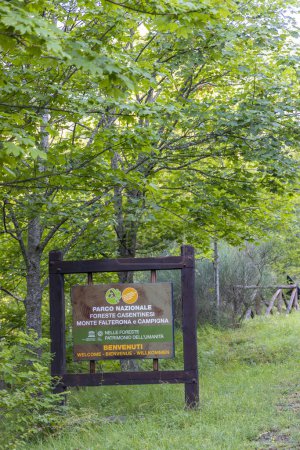 Foto de Passo della Braccina, Parque Nacional Foreste Casentinesi, Monte Falterona, Campigna (Parco Nazionale delle Foreste Casentinesi, Monte Falterona e Campigna), Italia - Imagen libre de derechos