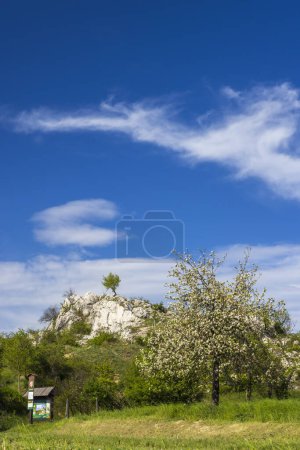 Téléchargez les photos : Palava landscape, Natural monument Cat Rock (Kocici skala), Southern Moravia, Czech Republic - en image libre de droit