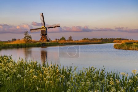 Téléchargez les photos : Windmill Broekmolen, Molenlanden - Nieuwpoort, The Netherlands - en image libre de droit