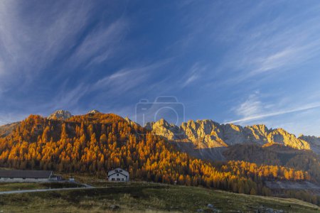 Téléchargez les photos : Paysage près de Sella di Razzo et Sella di Rioda pass, Alpes Carniques, Frioul-Vénétie Julienne, Italie - en image libre de droit
