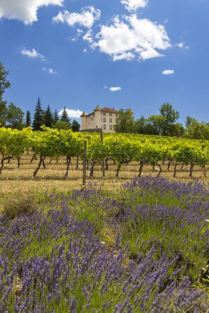 Téléchargez les photos : Château Aiguines avec vignoble, Alpes-de-Haute-Provence, Provence, France - en image libre de droit