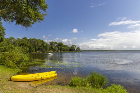 Foto de Etang d 'Aureilhan (Lac d' Aureilhan), Mimizan, Nueva Aquitania, Francia - Imagen libre de derechos