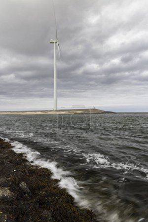Foto de Wind turbines on edge of  national park Oosterschelde, Domburg - Vrouwenpolder, The Netherlands - Imagen libre de derechos