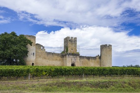 Budos castle (Chateau de Budos) in Sauternes wine region, Gironde departement, Aquitaine, France