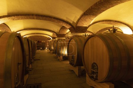 Wine cellar in Piedmont, Italy