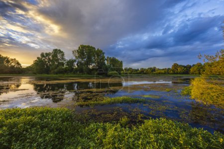 Foto de Cher River, Pays de la Loire, Francia - Imagen libre de derechos