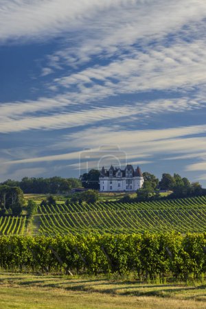 Téléchargez les photos : Château Monbazillac (Château Monbazillac) avec vignobles, Aquitaine, France - en image libre de droit