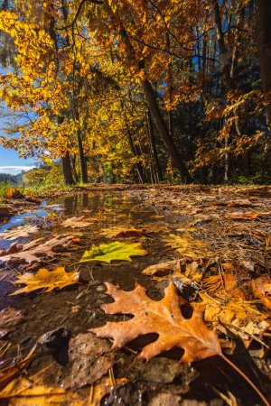 Typical autumn landscape in Trebonsko region near Trebon city in Southern Bohemia, Czech Republic