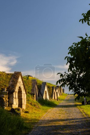 Gombos-hegyi pincesor in Hercegkut, UNESCO site, Great Plain, North Hungary
