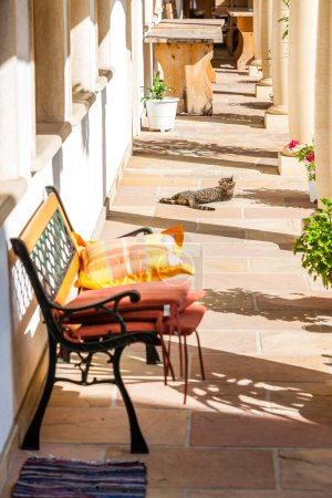 Foto de Un gato en la puerta paso en un día soleado - Imagen libre de derechos