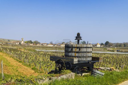 Téléchargez les photos : Ancien pressoir à vin, Côte de Nuits, Bourgogne, France - en image libre de droit