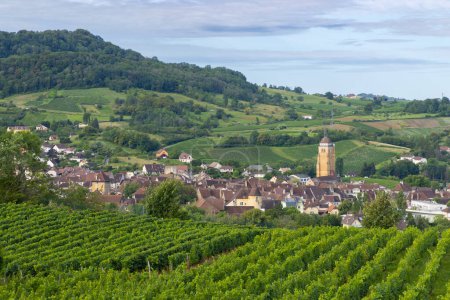 Weinberge mit der Stadt Arbois, Departement Jura, Franche-Comte, Frankreich