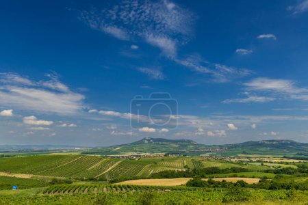 Téléchargez les photos : Vue sur les vignobles sous Palava, Moravie du Sud, République tchèque - en image libre de droit