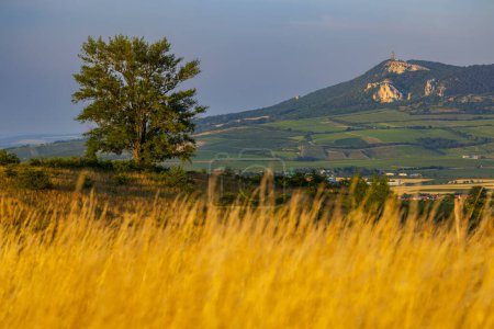 Foto de Vista del paisaje de Palava cerca de Dolni Dunajovice - Imagen libre de derechos