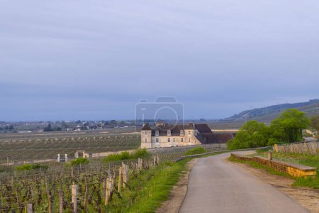 Téléchargez les photos : Vignobles typiques près de Clos de Vougeot, Côte de Nuits - en image libre de droit