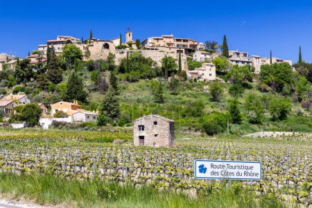 Photo for Typical vineyard with Wine road (Route Touristique des Cotes du Rhone) near Faucon - Royalty Free Image