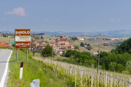 Vignoble typique près de Barolo, région viticole de Barolo, province de Cuneo