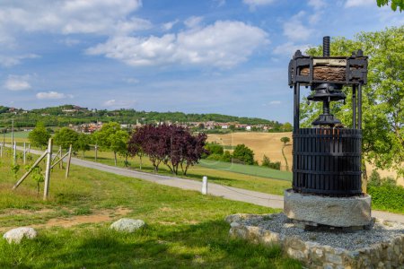 Foto de Típico viñedo cerca de Castello di Razzano y Alfiano Natta, región vinícola de Barolo, provincia de Cuneo - Imagen libre de derechos