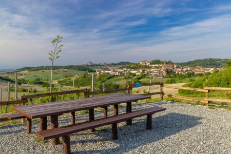 Foto de Típico viñedo cerca de Castello di Razzano y Alfiano Natta, región vinícola de Barolo, provincia de Cuneo - Imagen libre de derechos