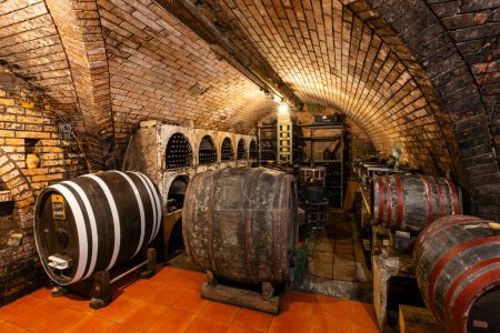 Téléchargez les photos : Vue sur les caves à vin avec tonneaux à Ivan, Moravie du Sud, République tchèque - en image libre de droit