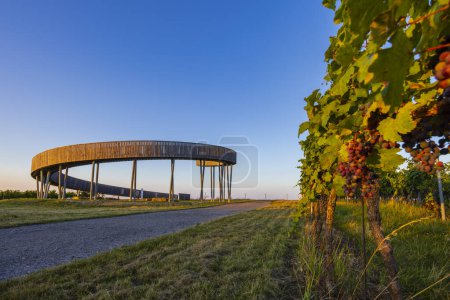 Sendero sobre el mirador de los viñedos, Kobyli vrch, Kobyli, Moravia del Sur, República Checa